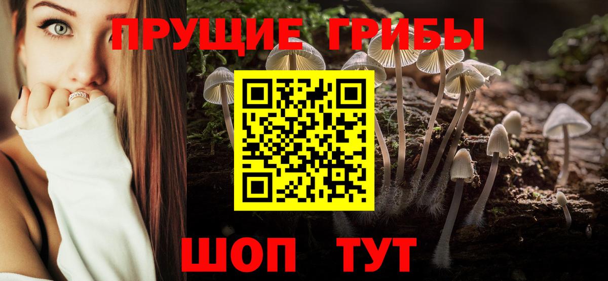 Саранск  Псилоцибиновые грибы GOLDEN TEACHER  Псилоцибиновые грибы Psilocybe  Вход с VPN 